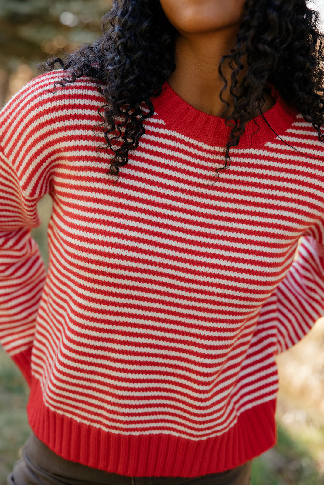 Cranberry Chalet Stripe Sweater - Image 3
