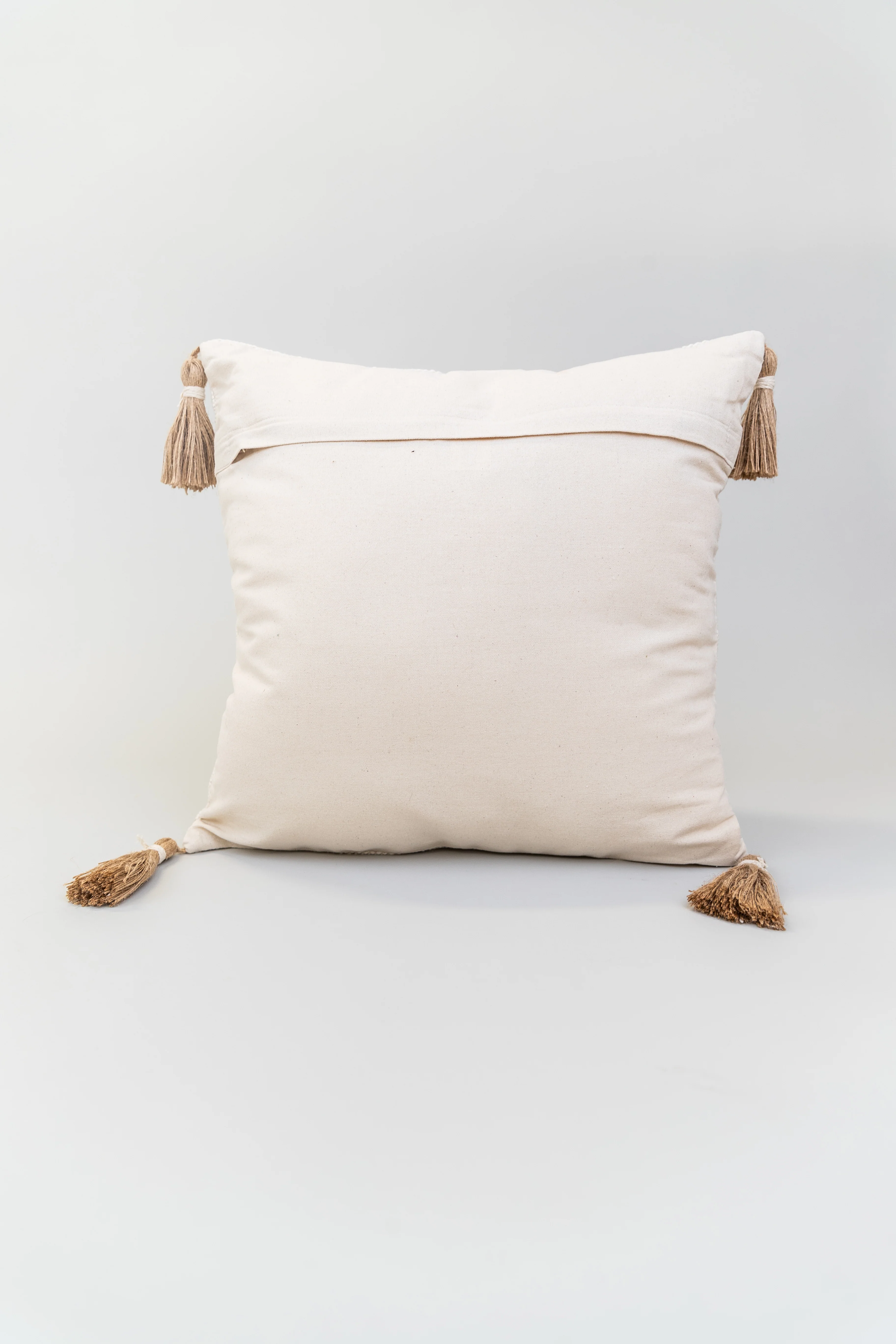 Finch Tassel Pillow - Image 4