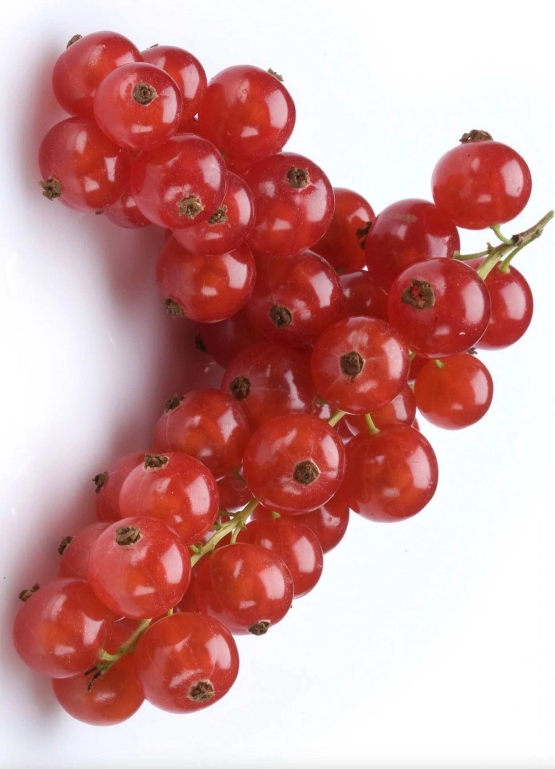 Fragrance Oil Singles - Image 11