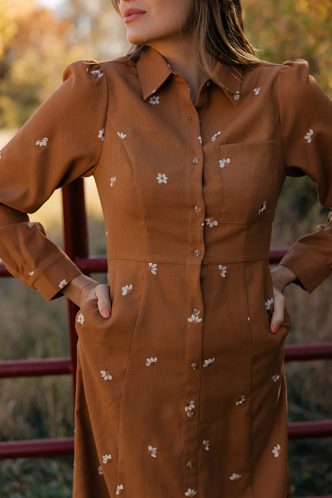 Haven Embroidered Collared Dress - Image 6