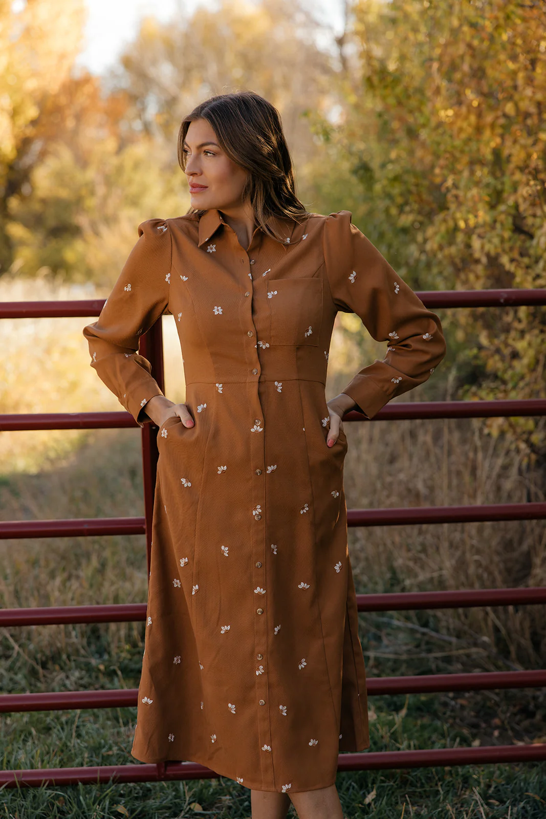 Haven Embroidered Collared Dress - Image 7