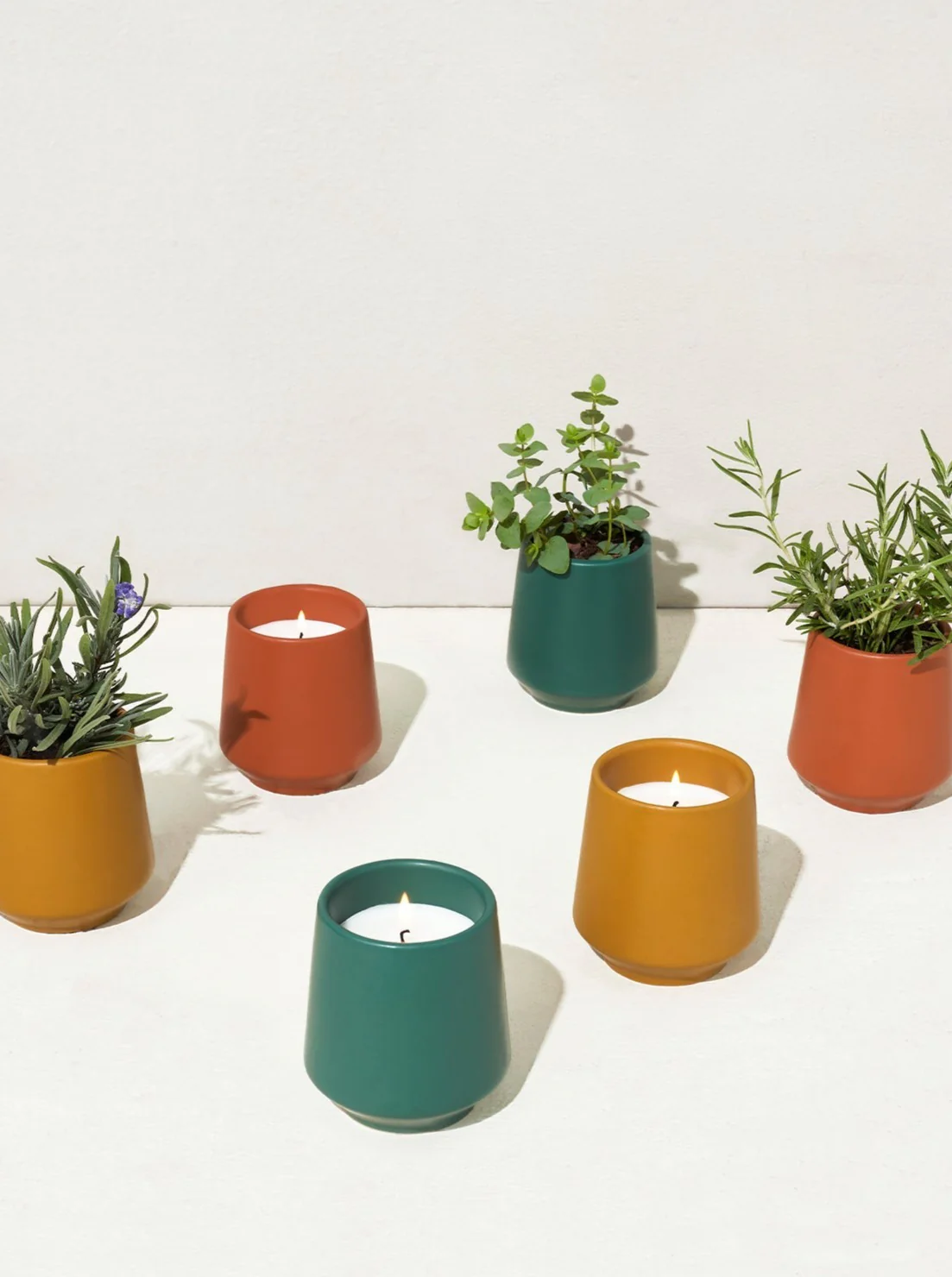 Rooted Candles - Image 2