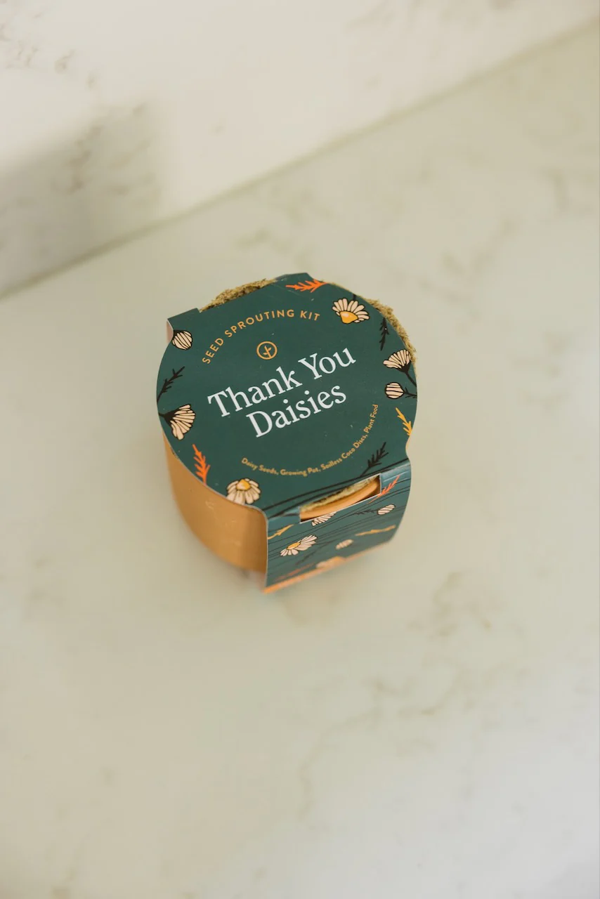 Tiny Terracotta Thank You Daisies Kit - Image 5