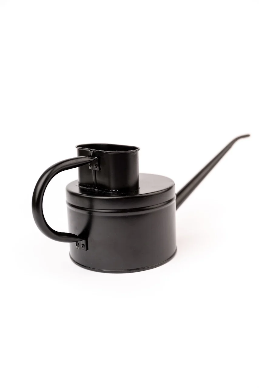 The Wednesday Watering Can - Image 5