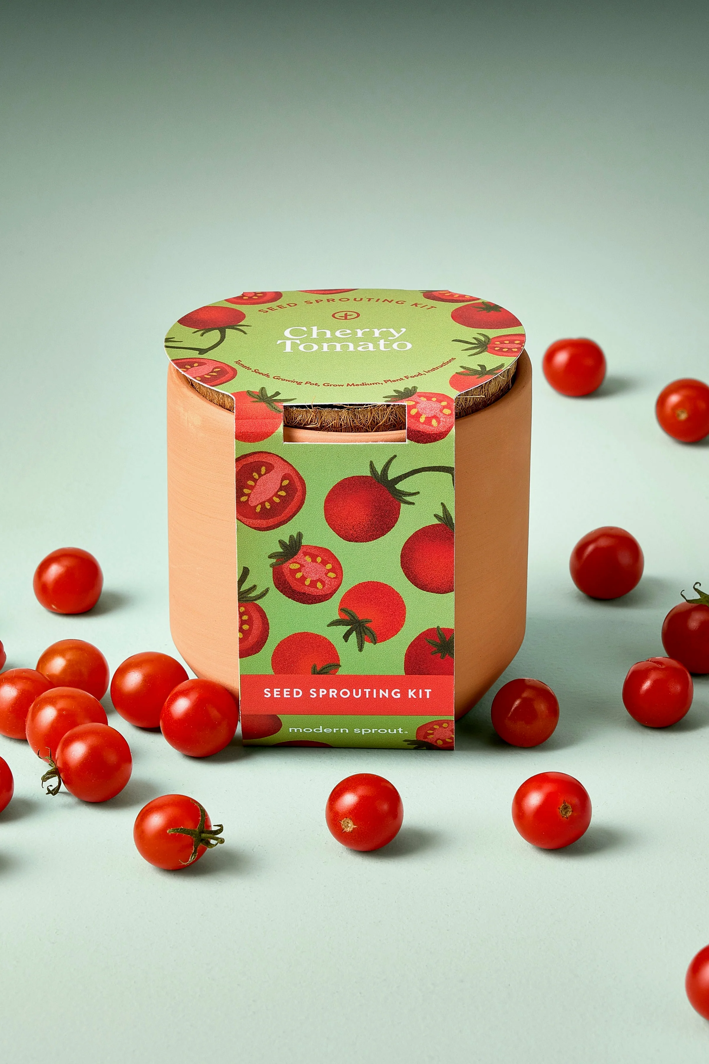 Tiny Terracotta Garden Kits - Image 2